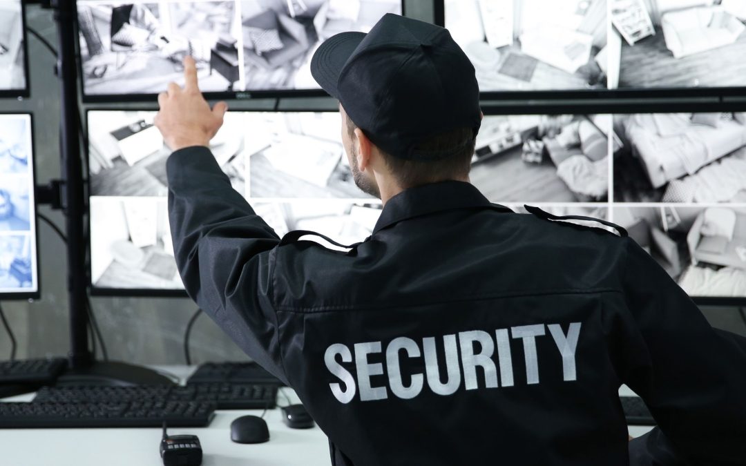 The Synergy of Access Control and Video Surveillance